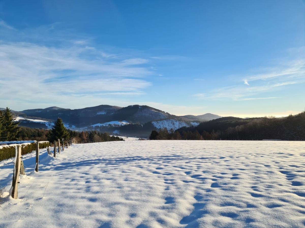Ferienwohnung Auszeit Winterberg Zentrum Екстер'єр фото